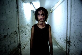 Фото фильма Эхо 2008.