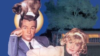 Фото фильма Эта дикая кошка 1965.