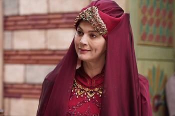 Фото сериала mehm/846832-mehmed-sultan-zavoevateley280733.jpg 2024.