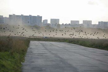 Фото фильма Самый лучший фильм 2007.