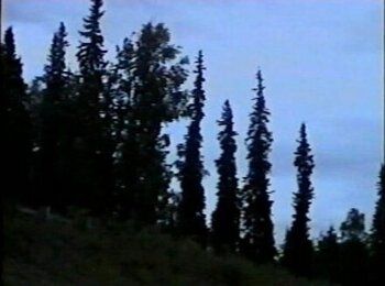 Фото фильма vedm/325736_6643bf2f8f8af067fe9d32dc.jpg 2000.